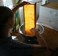 Uncapping Honeycomb Honey Comb